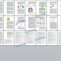 �����ṹ��������о���������״��δ������